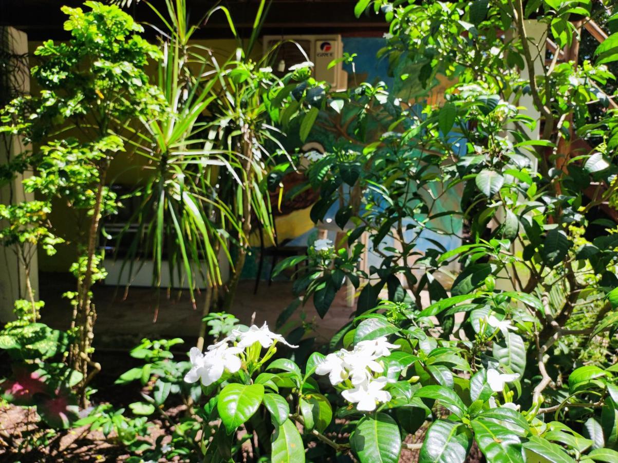 Shangri-La Hostel Barra Grande  Exterior photo